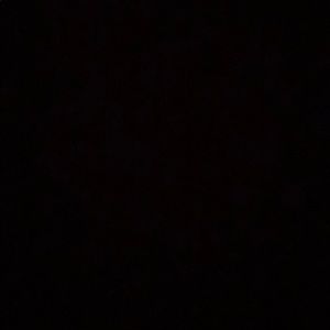 Meet your Posher, Ryder